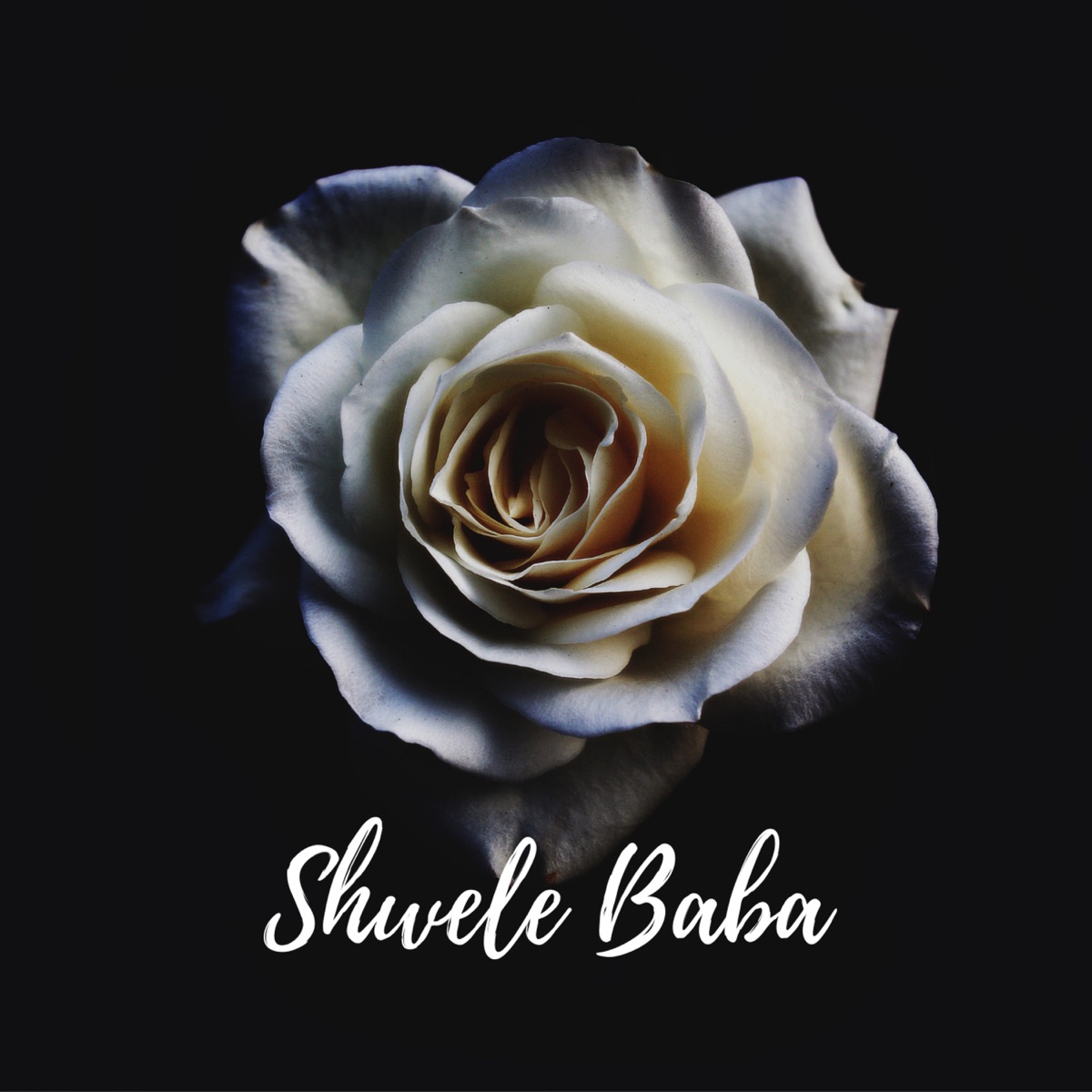 Shwele Baba (feat. Karabo) - Single by Rafiki Rhythms & MACMILLAN album cover