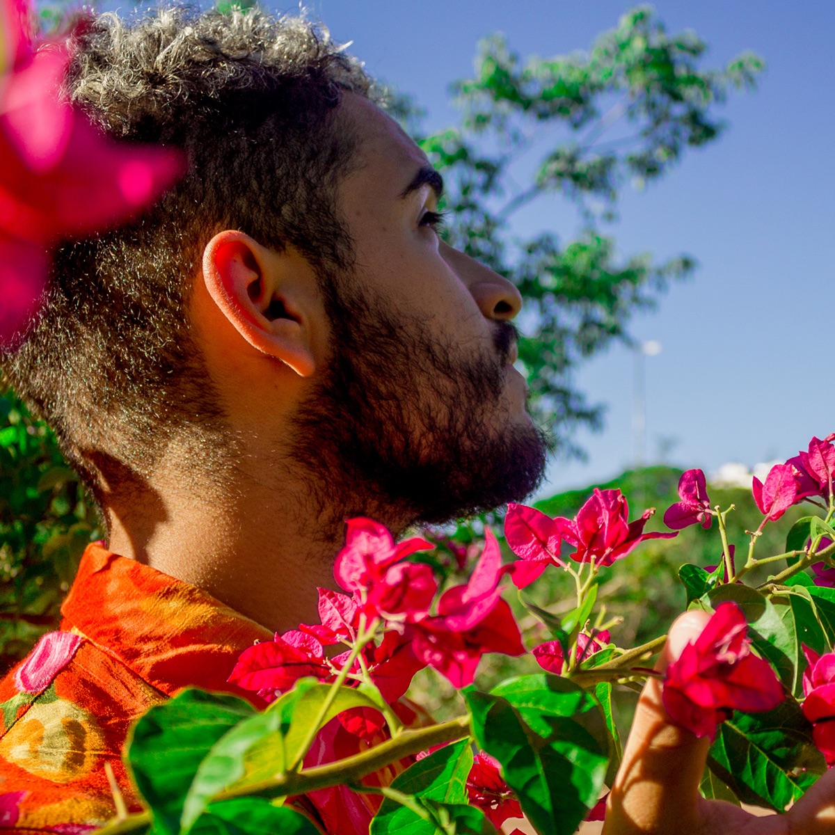 Pétalas - EP by Madyer Fraga album cover