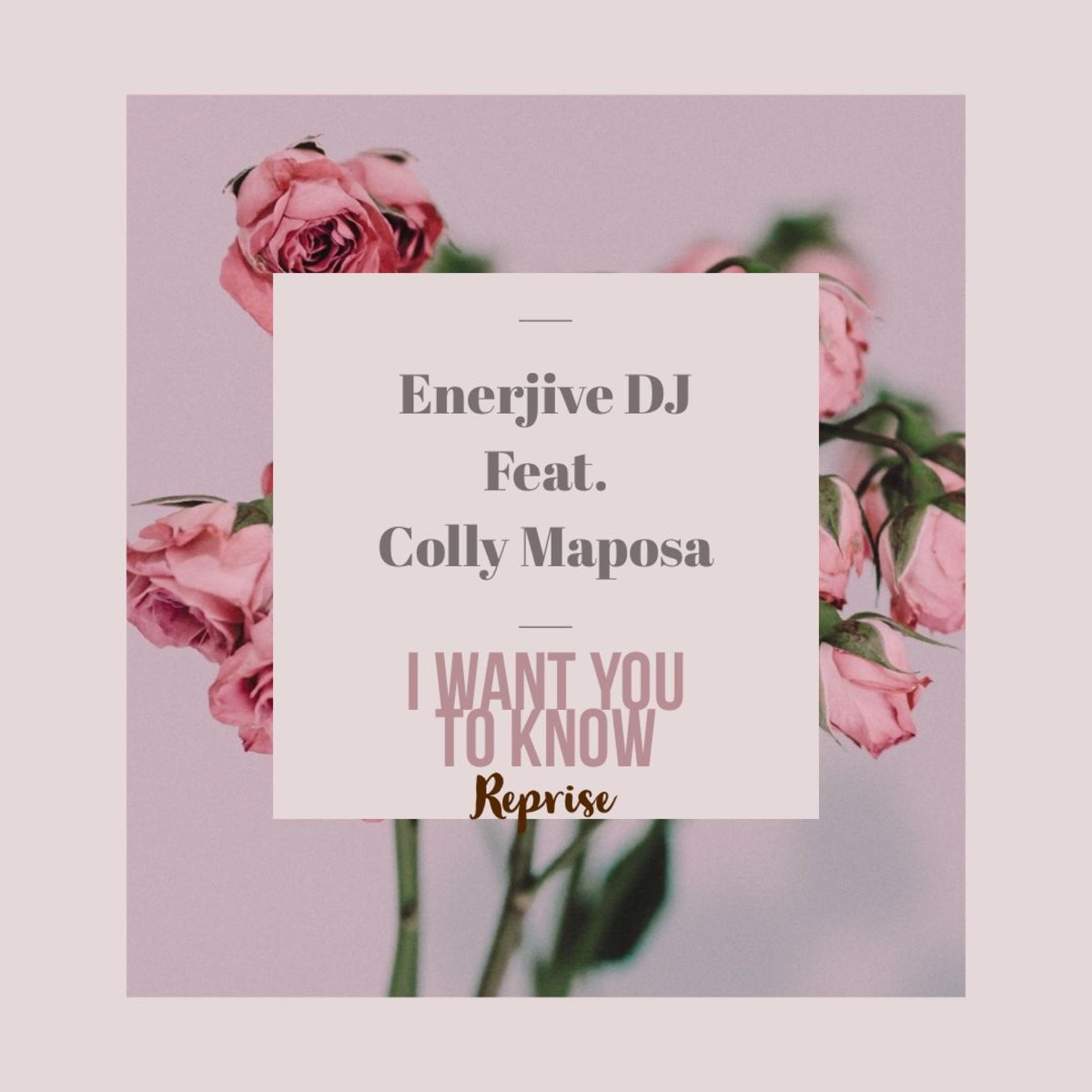 I want you to know [feat. Colly Maposa] [Reprise] - Single by Enerjivedj album cover