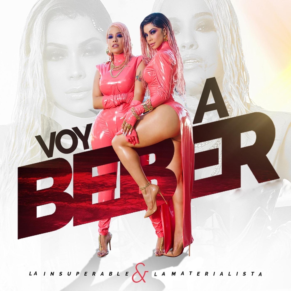 Voy a Beber - Single by La Insuperable & La Materialista album cover