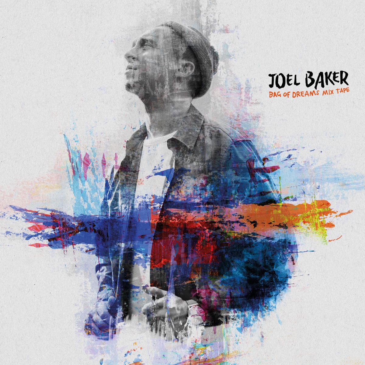 Bag of Dreams by Joel Baker album cover