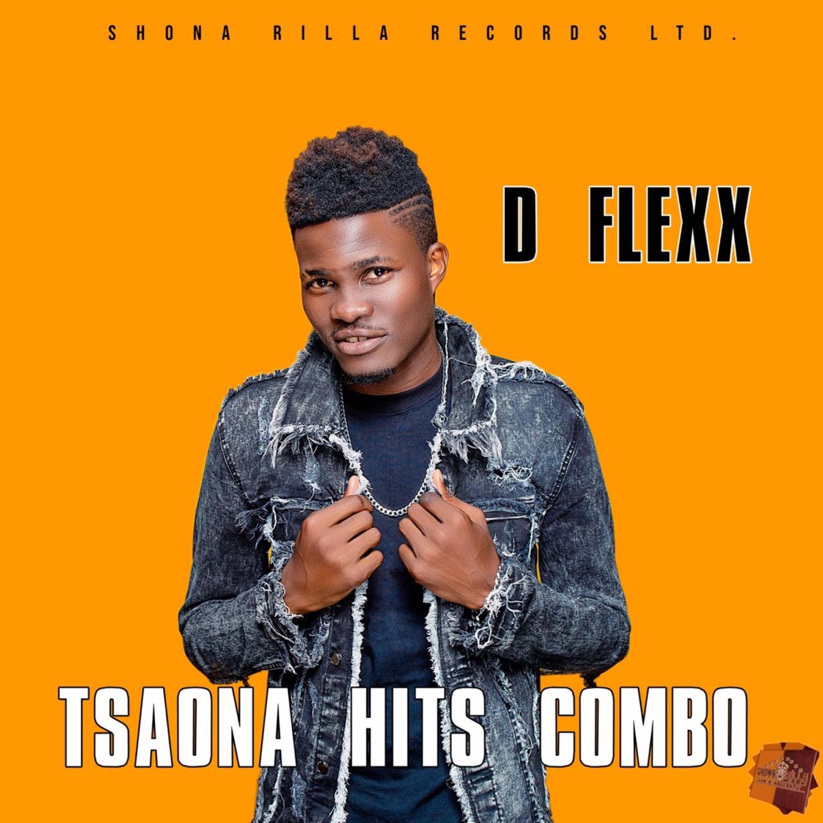 Tsaona Hits Combo by D Flexx album cover