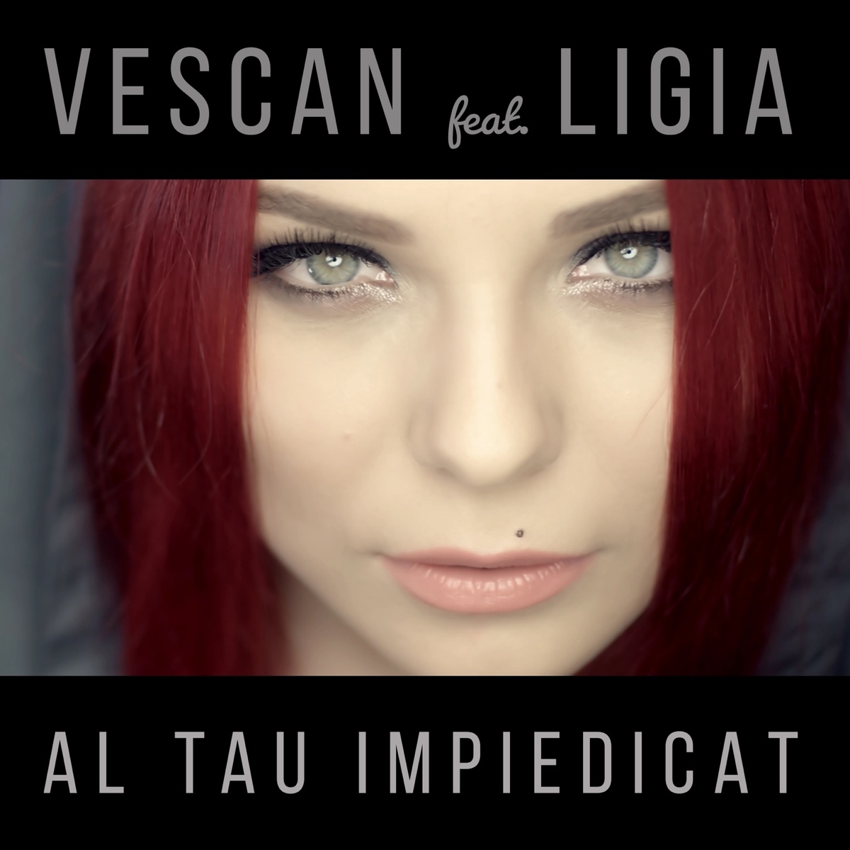 Al tau impiedicat (feat. Ligia) - Single by Vescan album cover