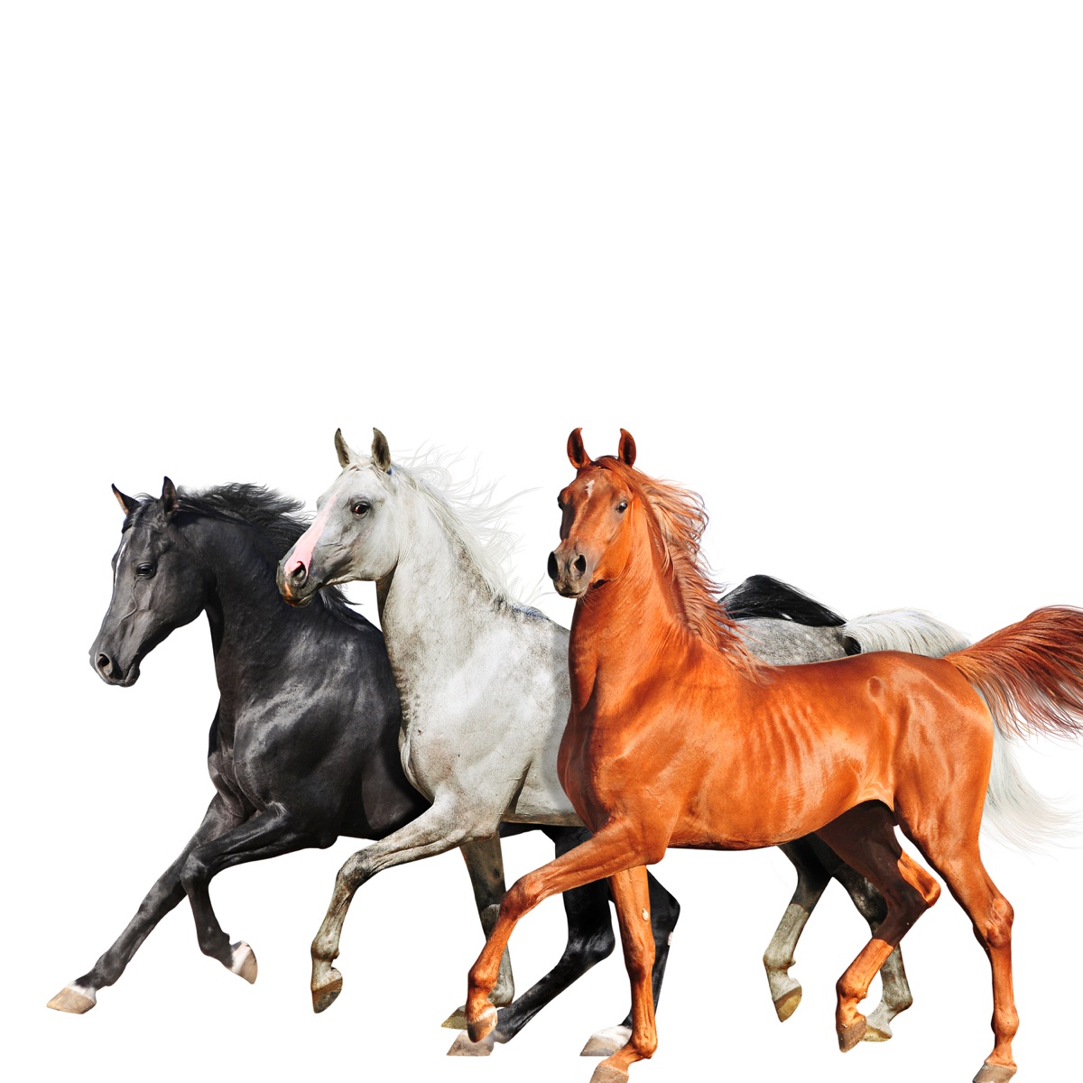 Old Town Road (Diplo Remix) - Single by Lil Nas X, Billy Ray Cyrus & Diplo album cover