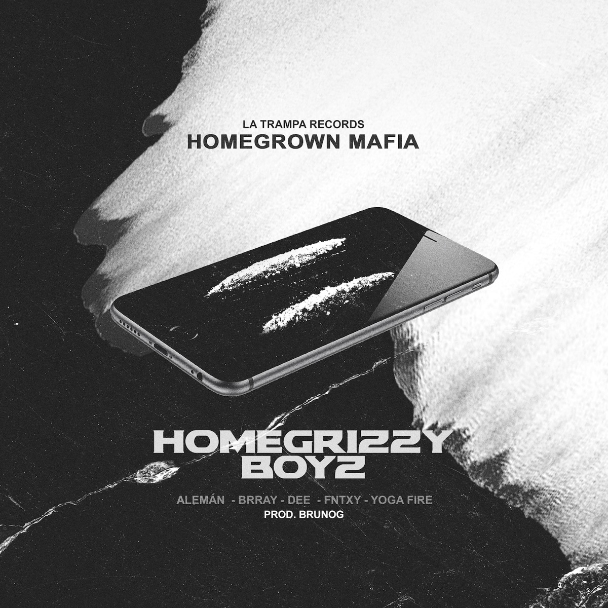 Homegrizzy Boyz (feat. Aleman, Brray, Dee, Fntxy & Yoga Fire) - Single by Homegrown Mafia album cover