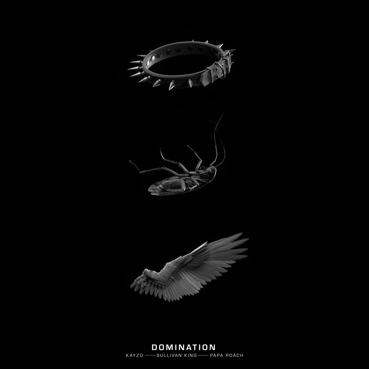 DOMINATION - Single by Kayzo, Sullivan King & Papa Roach album cover