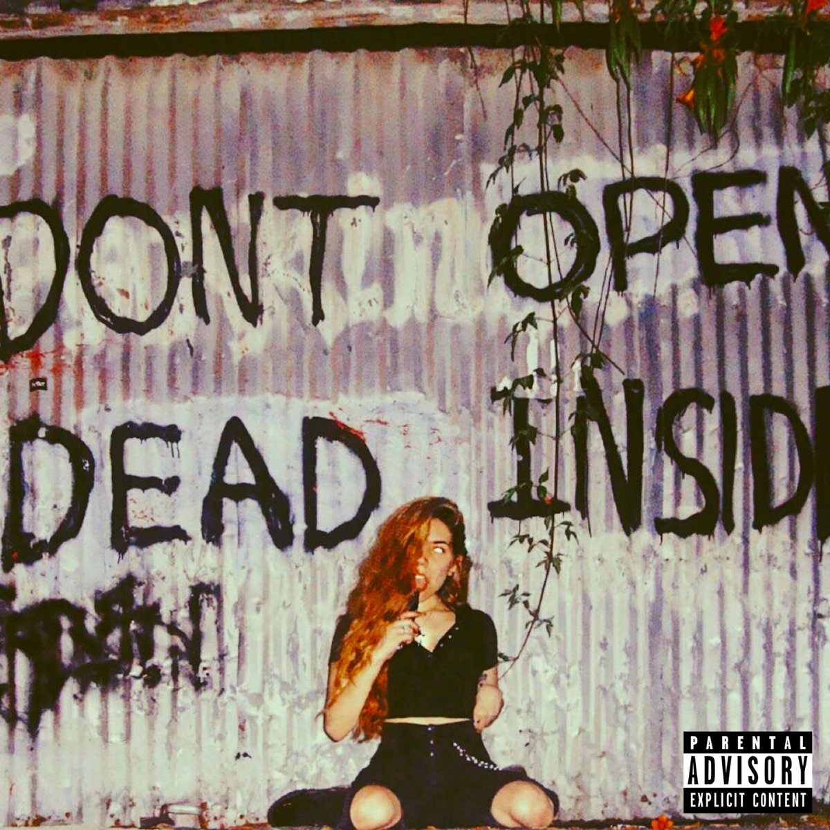 Voices Inside My Head - Single by Blaise album cover