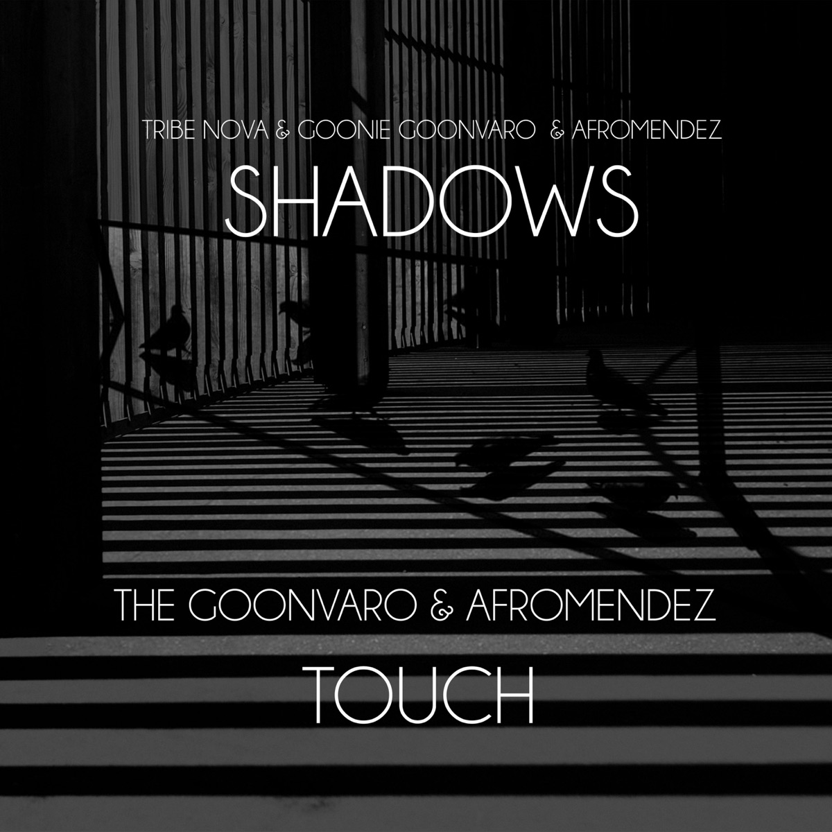 Shadows the Goonvaro & Afromendez Touch (feat. AfroMendez & Goonvaro) - Single by Tribe Nova album cover