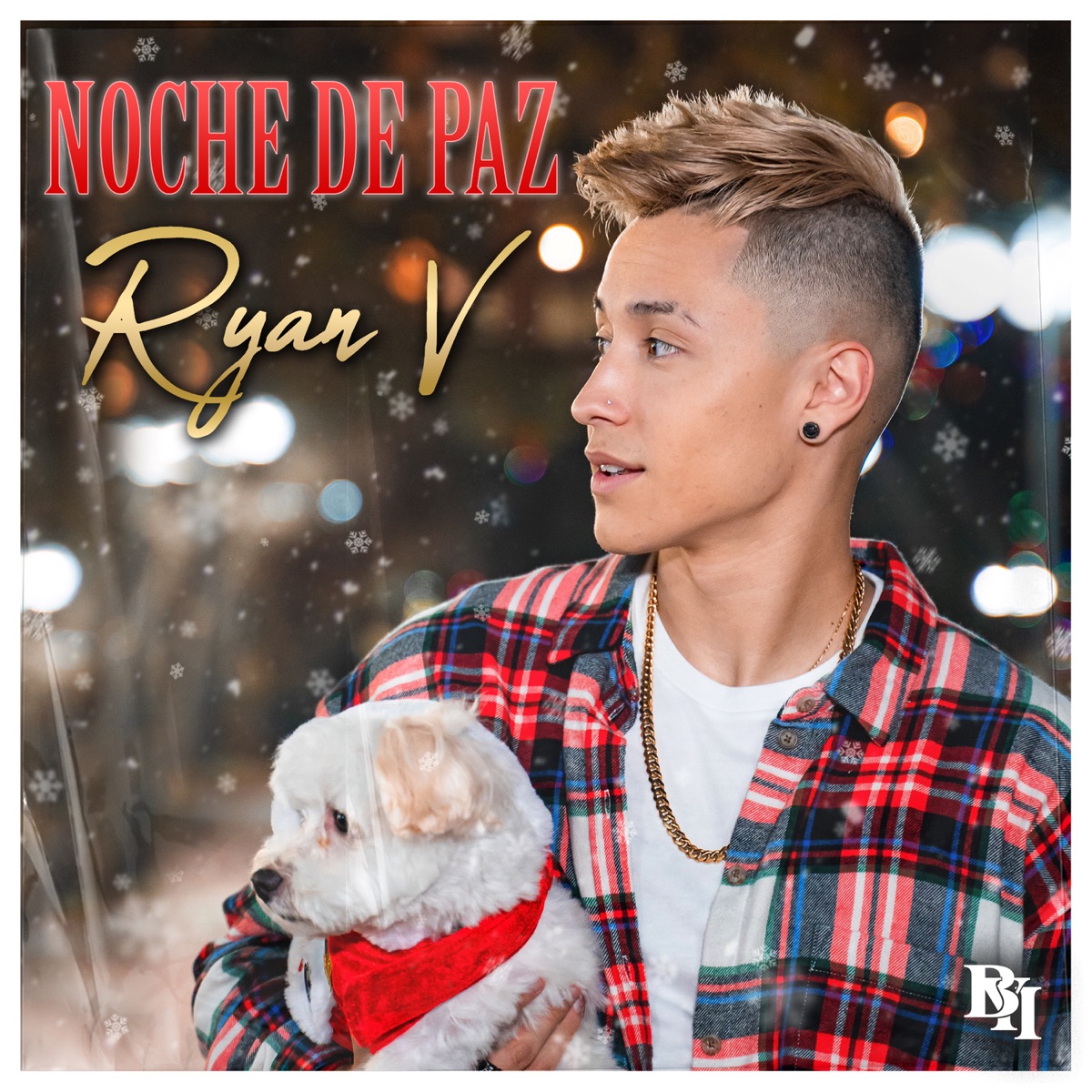 Noche De Paz - Single by Ryan V album cover