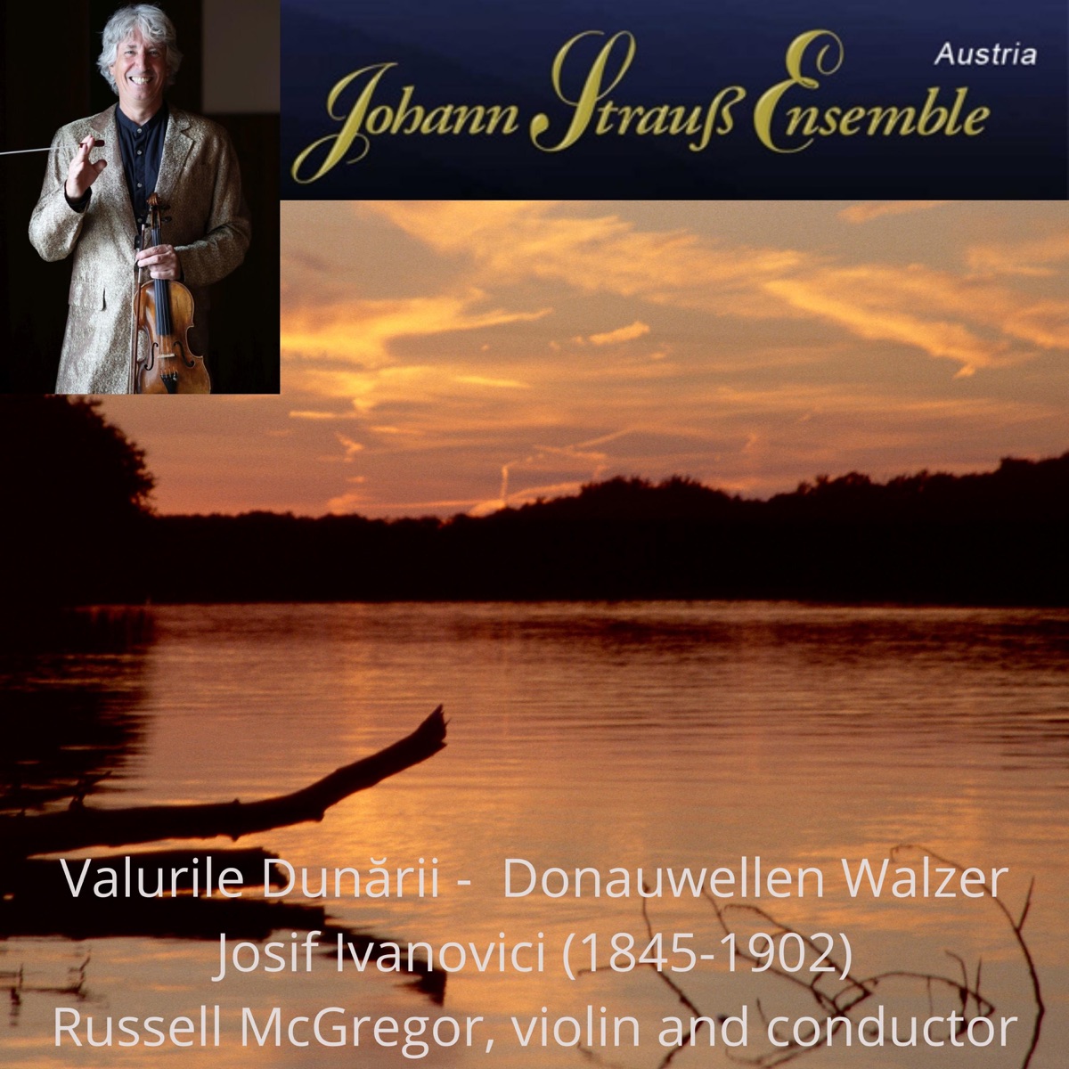 Donauwellen Walzer - Single by Johann Strauss Ensemble album cover