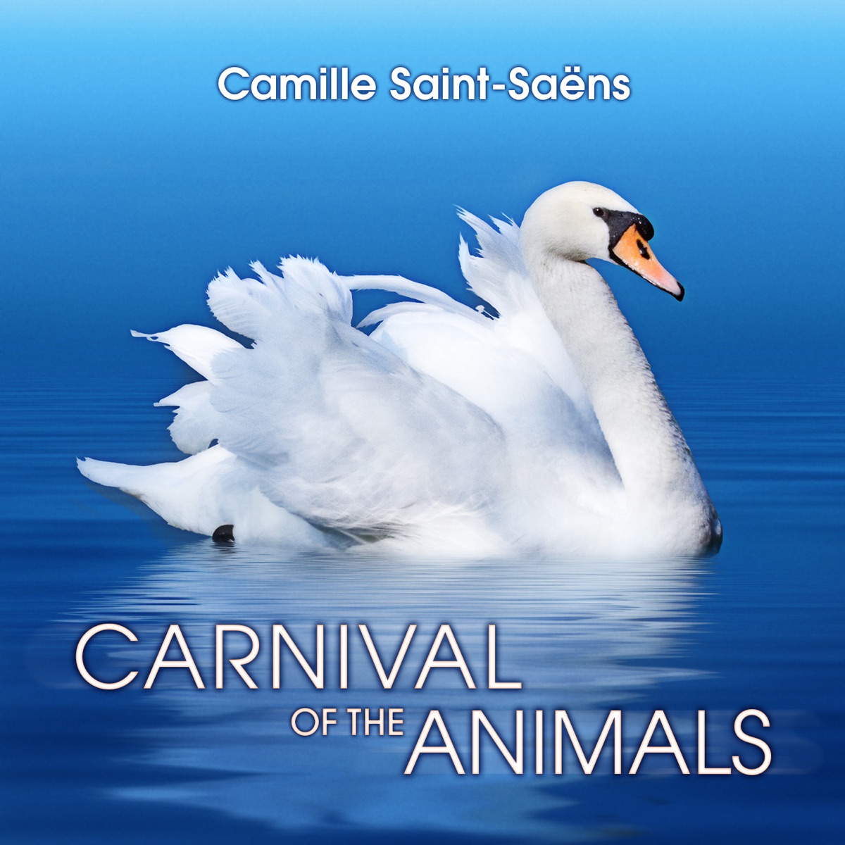 Carnival of the Animals by Hungarian National Philharmonic & Andras Korodi album cover