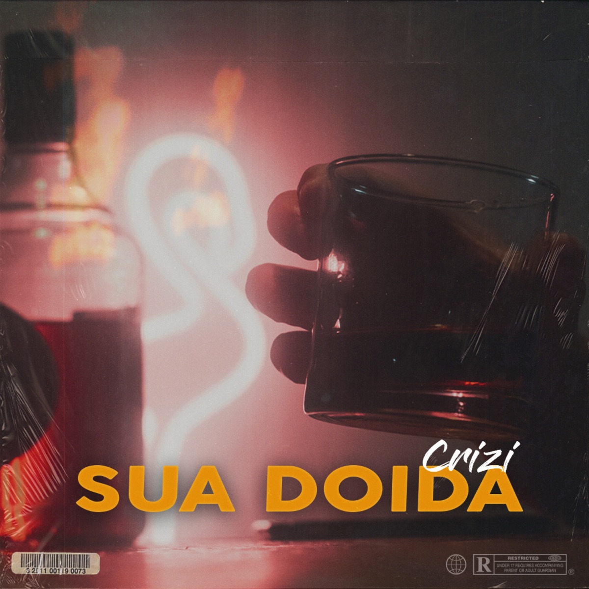 Sua Doida - Single by CRIZI album cover