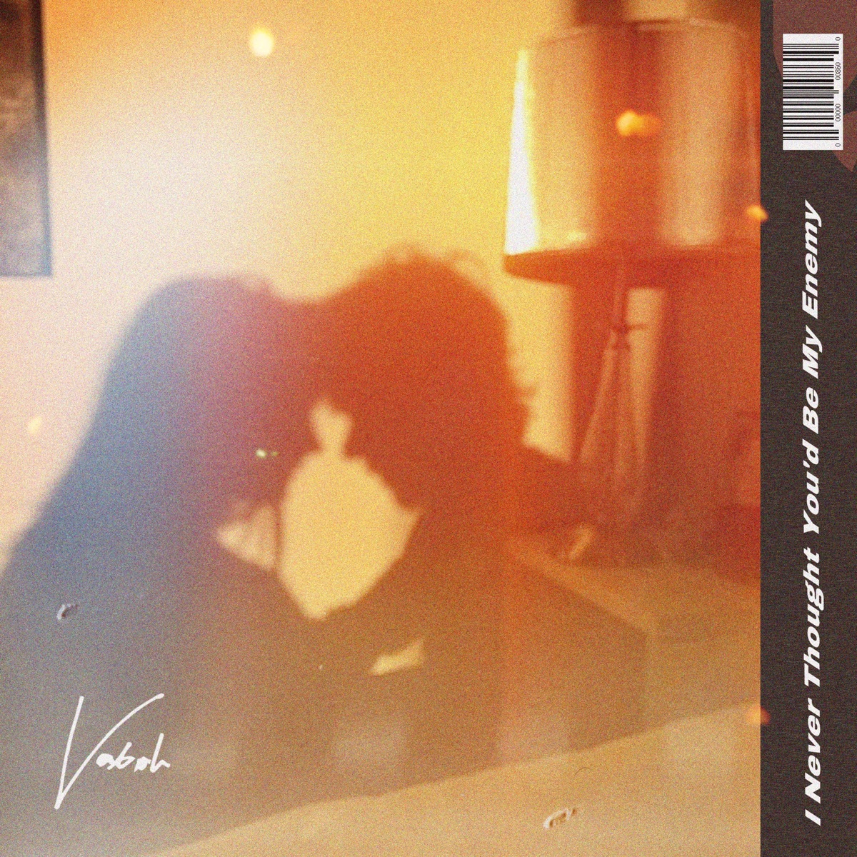 I Never Thought You’d Be My Enemy - Single by Vaboh album cover