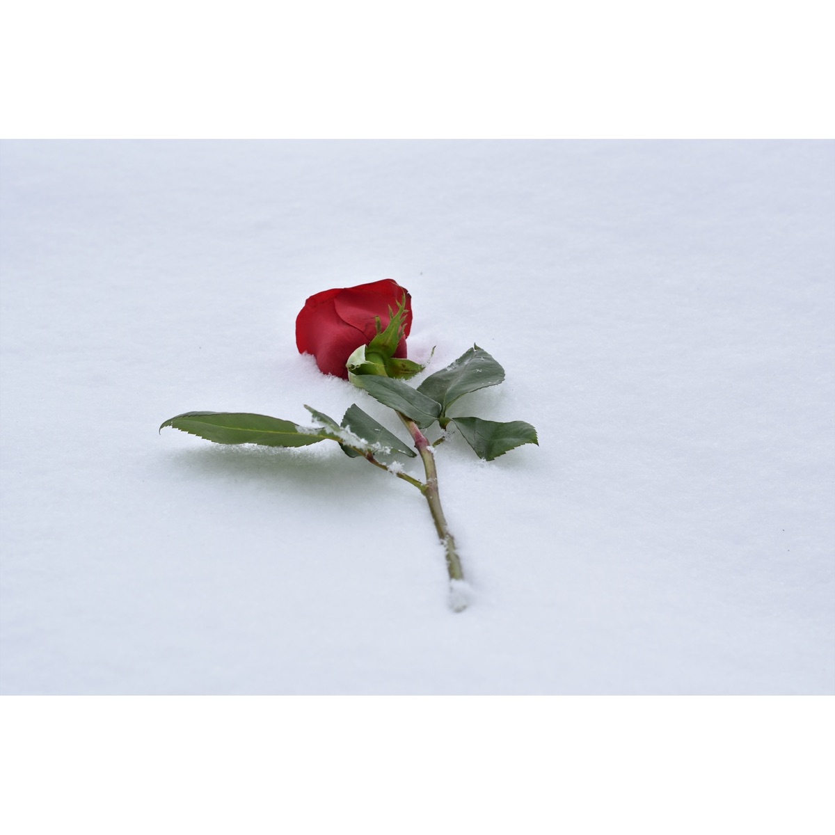 Never Gonna Be - Single by Mt Soul album cover