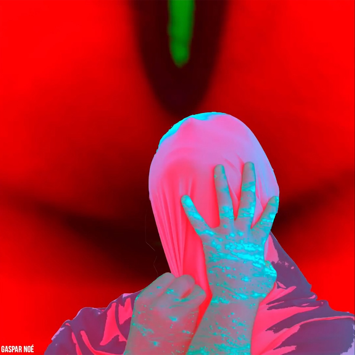 Gaspar Noé (feat. Lisa) - Single by Broyer album cover