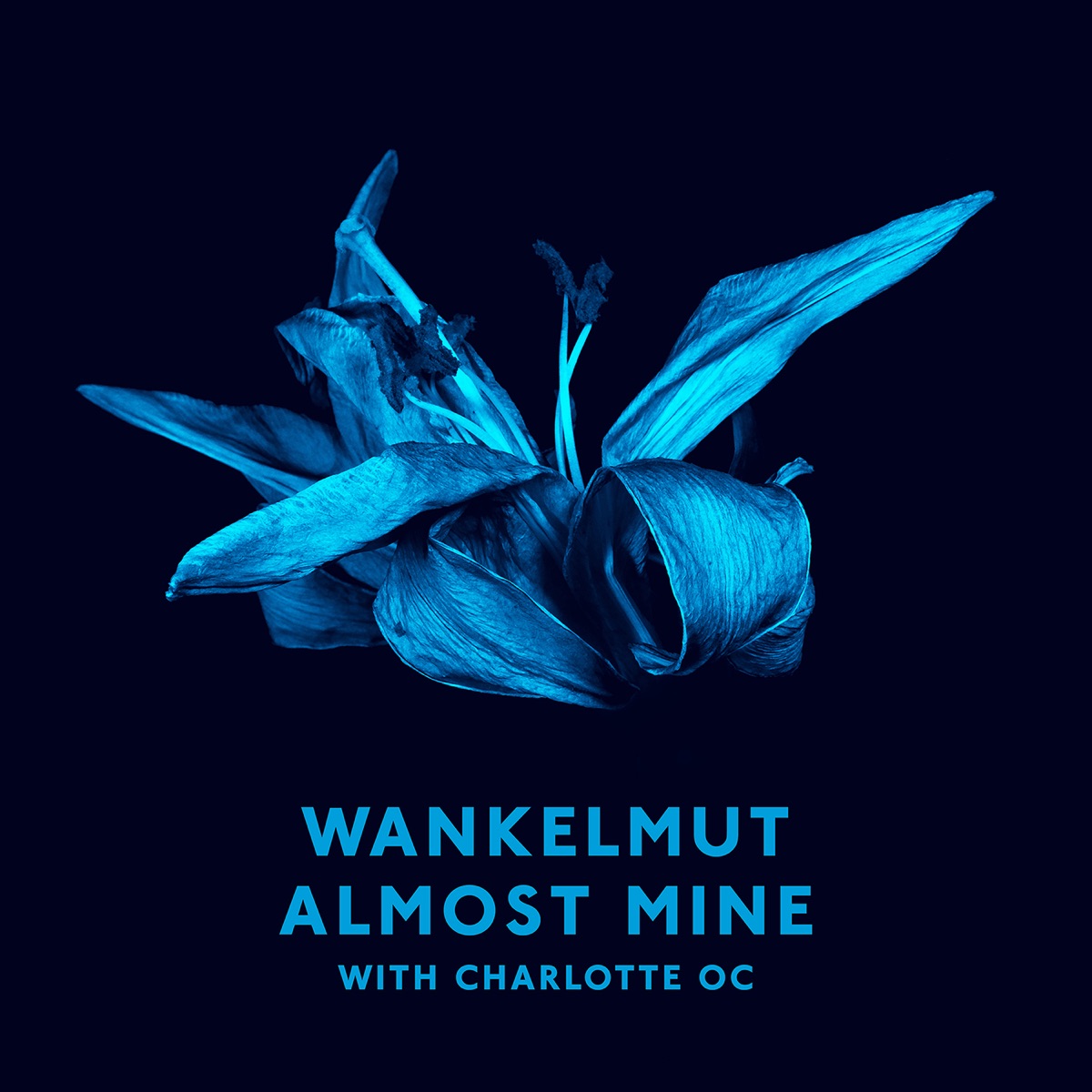 Almost Mine (with Charlotte OC) [Radio Edit] - Single by Wankelmut album cover