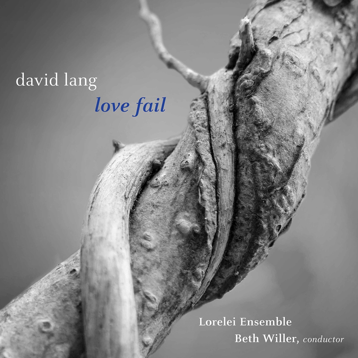 David Lang: Love Fail (Version for Women's Chorus) by Lorelei Ensemble & Beth Willer album cover
