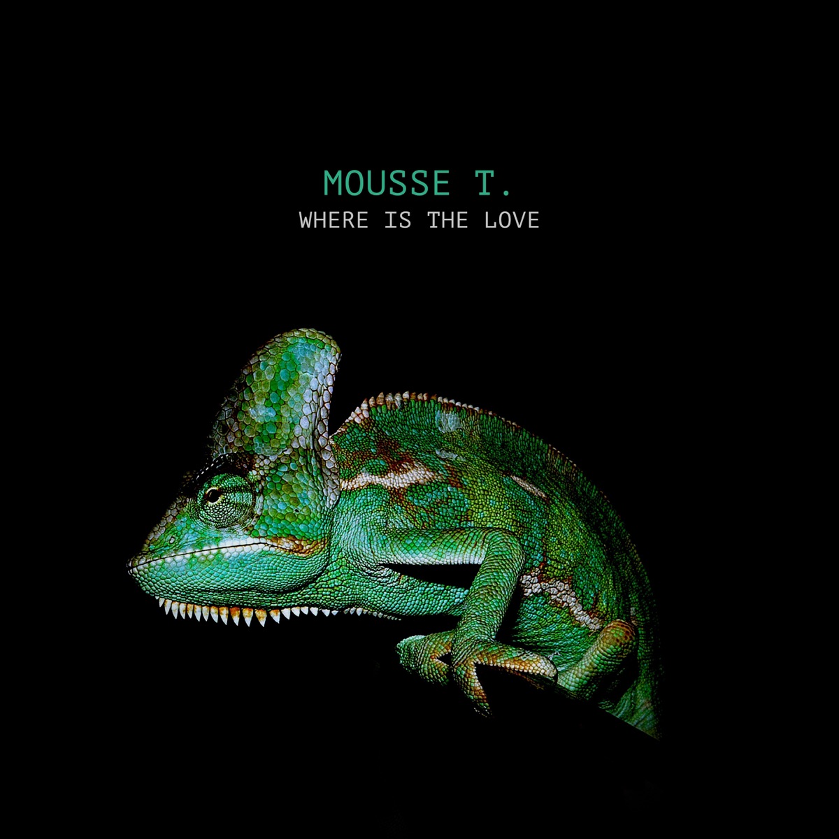 Where Is the Love by Mousse T. album cover