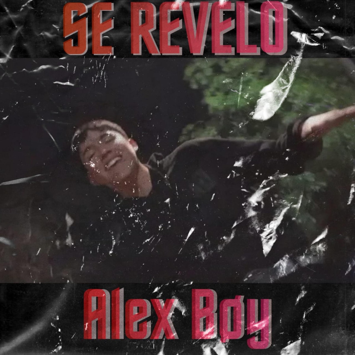 Se revelo - Single by Alexboy_oficial album cover