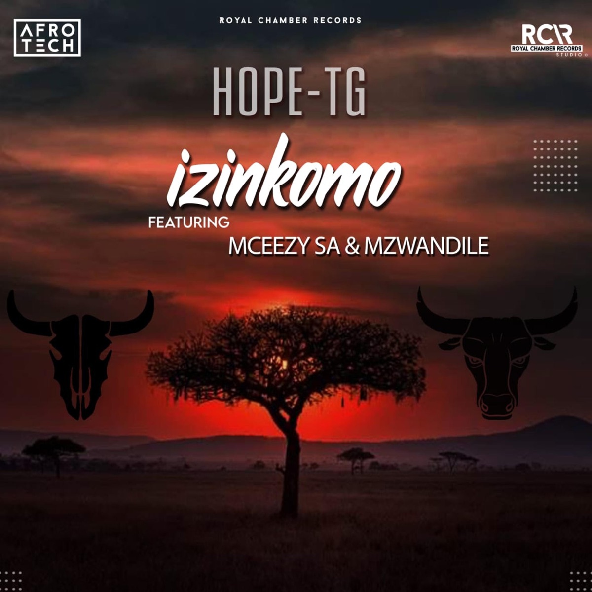Izinkomo (feat. Mceezy & Mzwandile) - Single by Hope-TG album cover