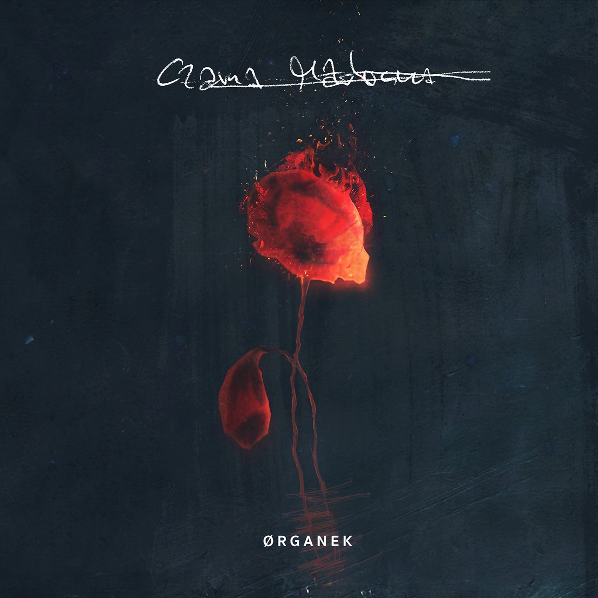 Czarna Madonna by Organek album cover
