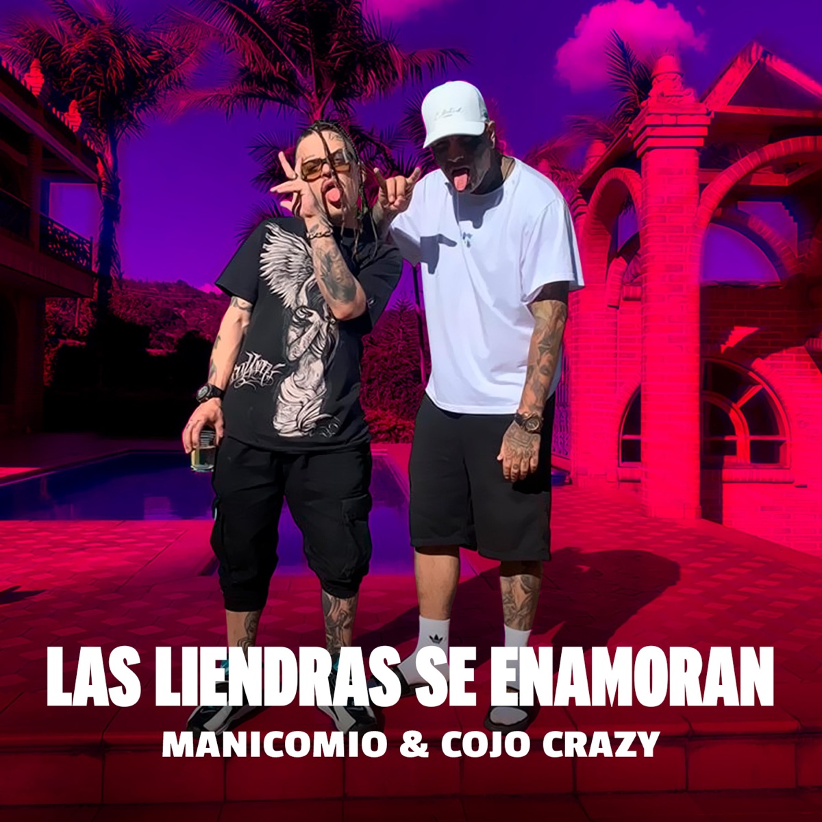 Las Liendras Se Enamoran - Single by Manicomio & Cojo Crazy album cover