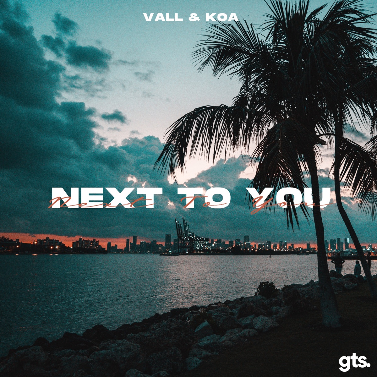 Next to You - Single by Vall & Koa album cover