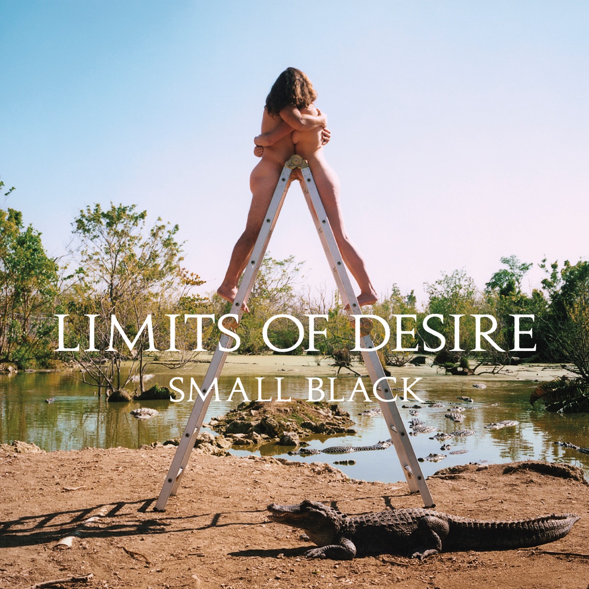 Limits of Desire by Small Black album cover