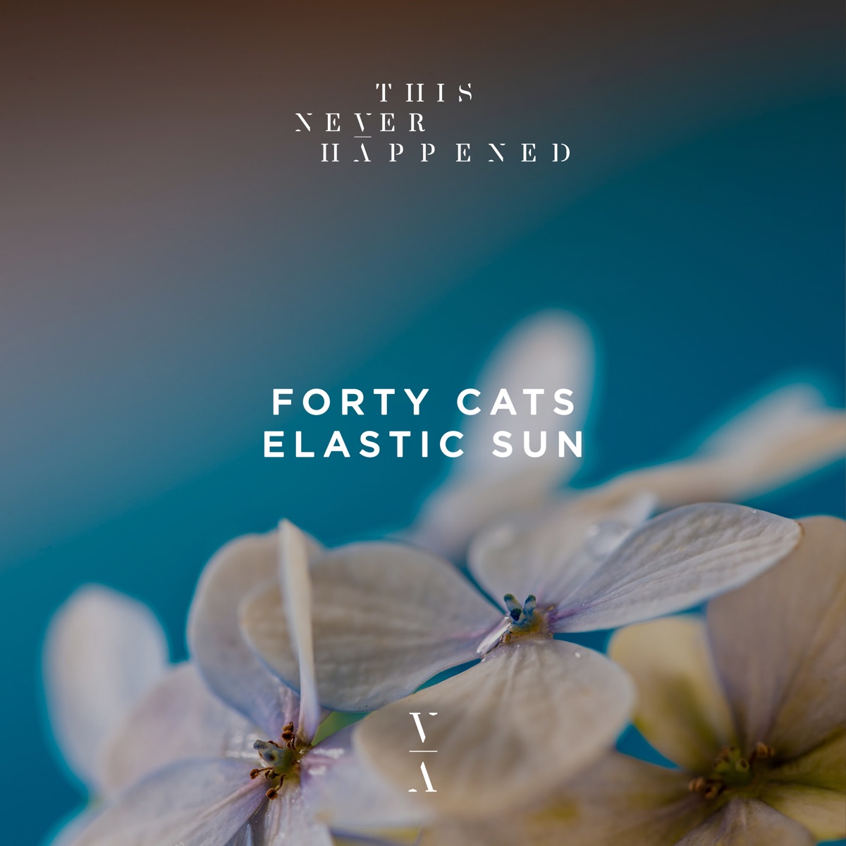 Elastic Sun - Single by Forty Cats album cover