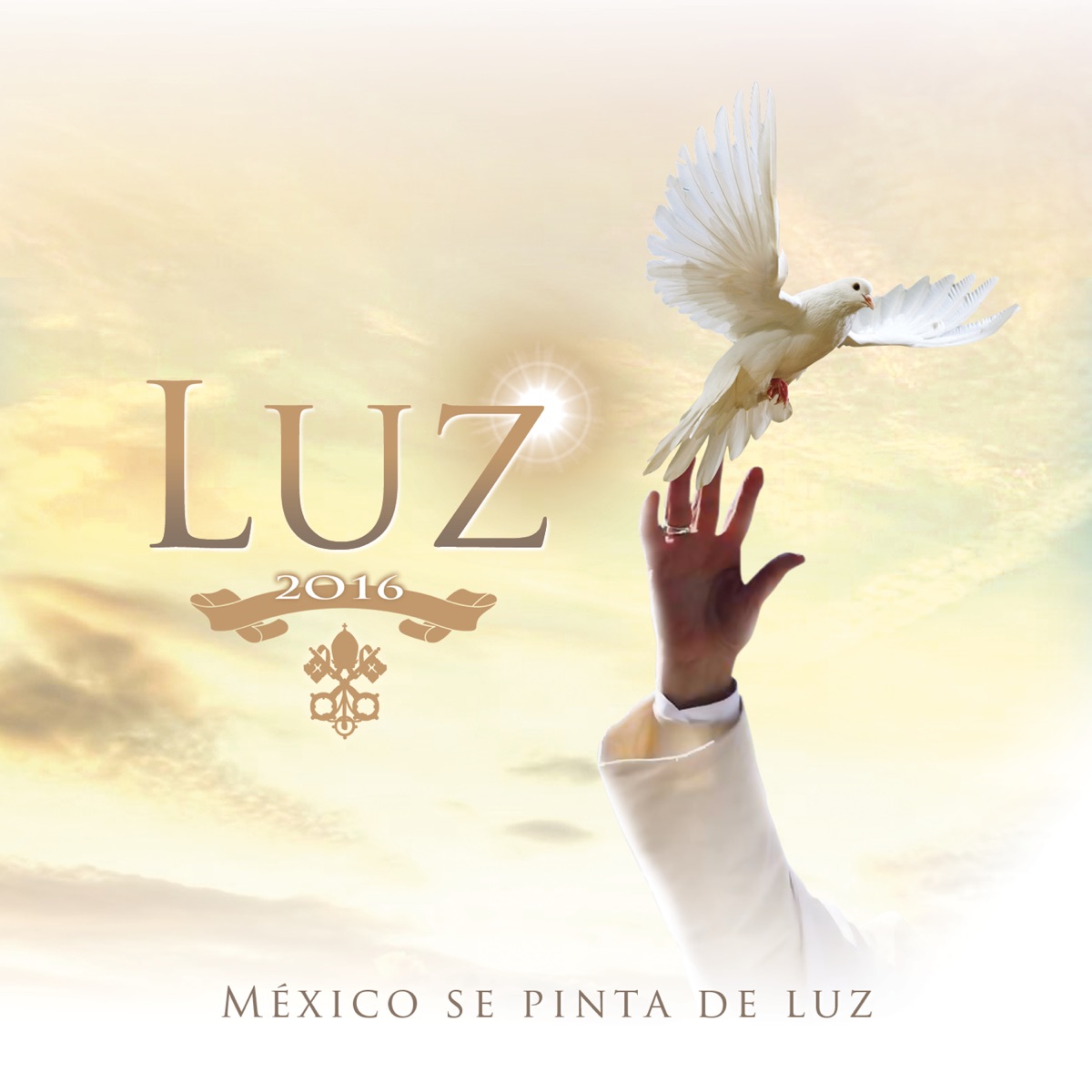 Luz - Single by Lucero, Cristian Castro, Pedro Fernández, Diego Verdaguer, Pandora, Carlos Rivera, Belinda, Diego Boneta, Ana Victoria, La Adictiva, Edwin Luna, Emir Pabón & Grupo Cañaveral, Leandro Ríos, Iskander, Atl Garza, Jary, Marian & Mariel, Ruby Escobar, Carla Mauri & LemonGrass album cover