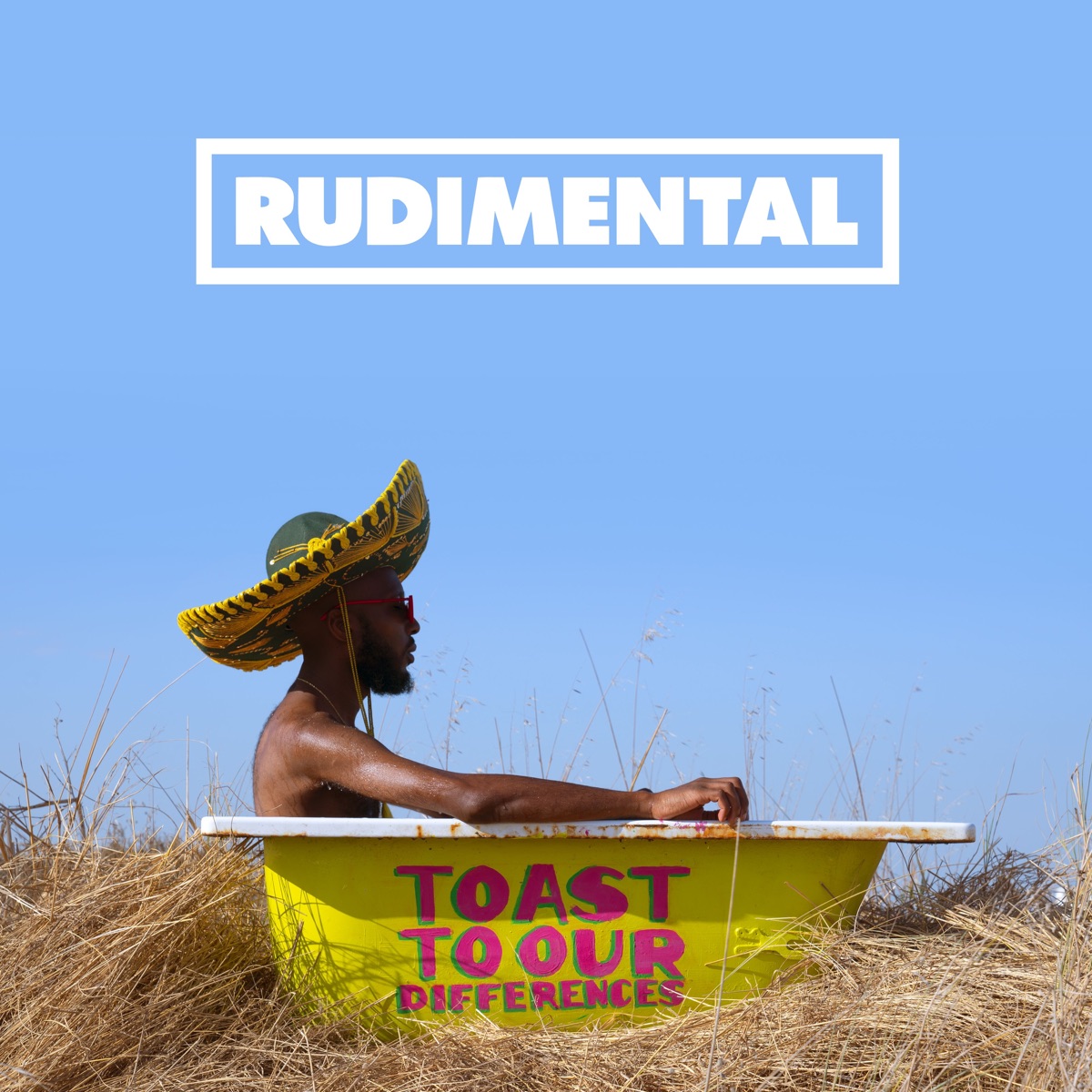 Toast to Our Differences (Deluxe) by Rudimental album cover