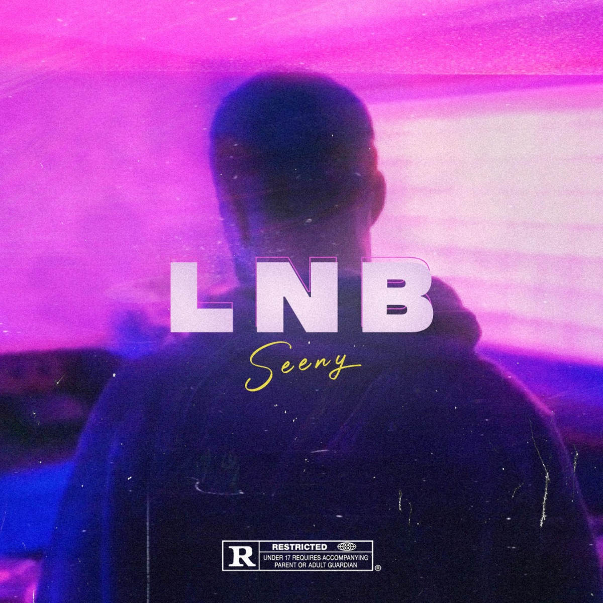 LNB - Single by Seeny album cover