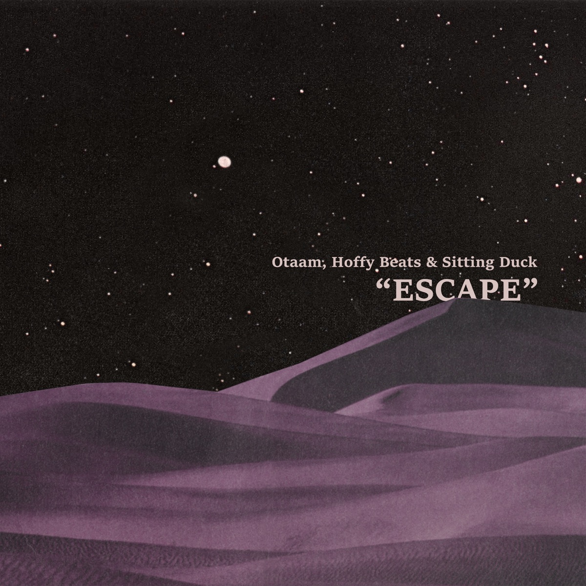 Escape (feat. Sitting Duck) - Single by Otaam & Hoffy Beats album cover
