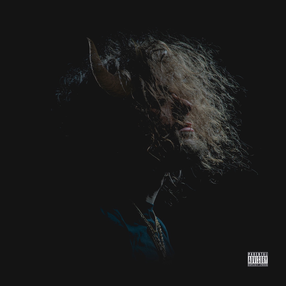 Faithfully Faded by Doobie album cover