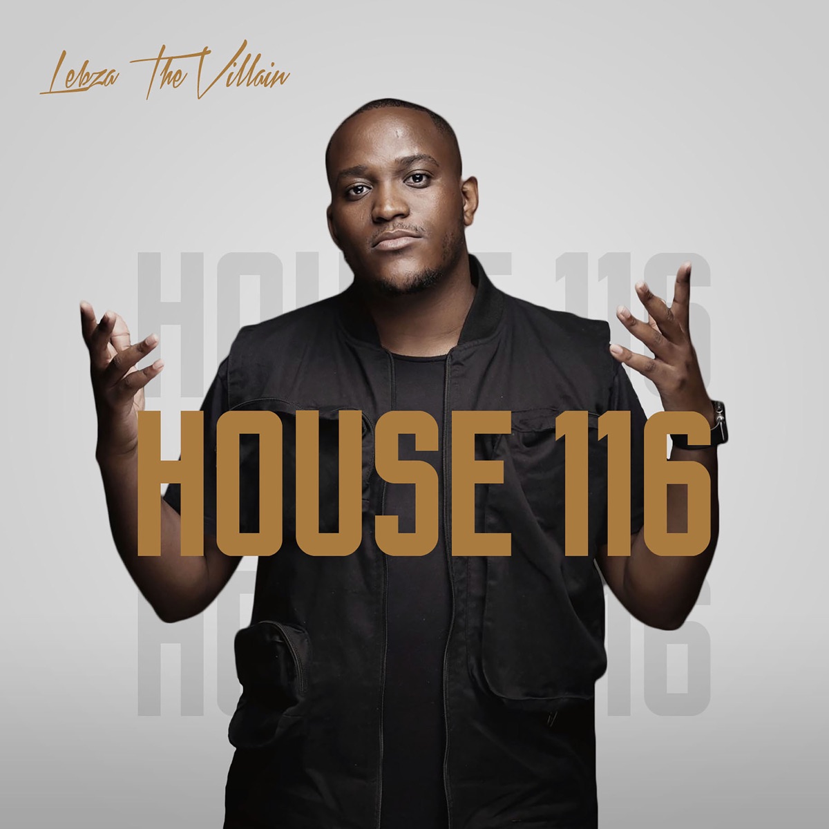 House 116 by Lebza TheVillain album cover