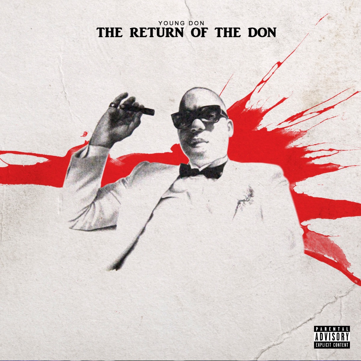 The Return of the Don by Young Don album cover