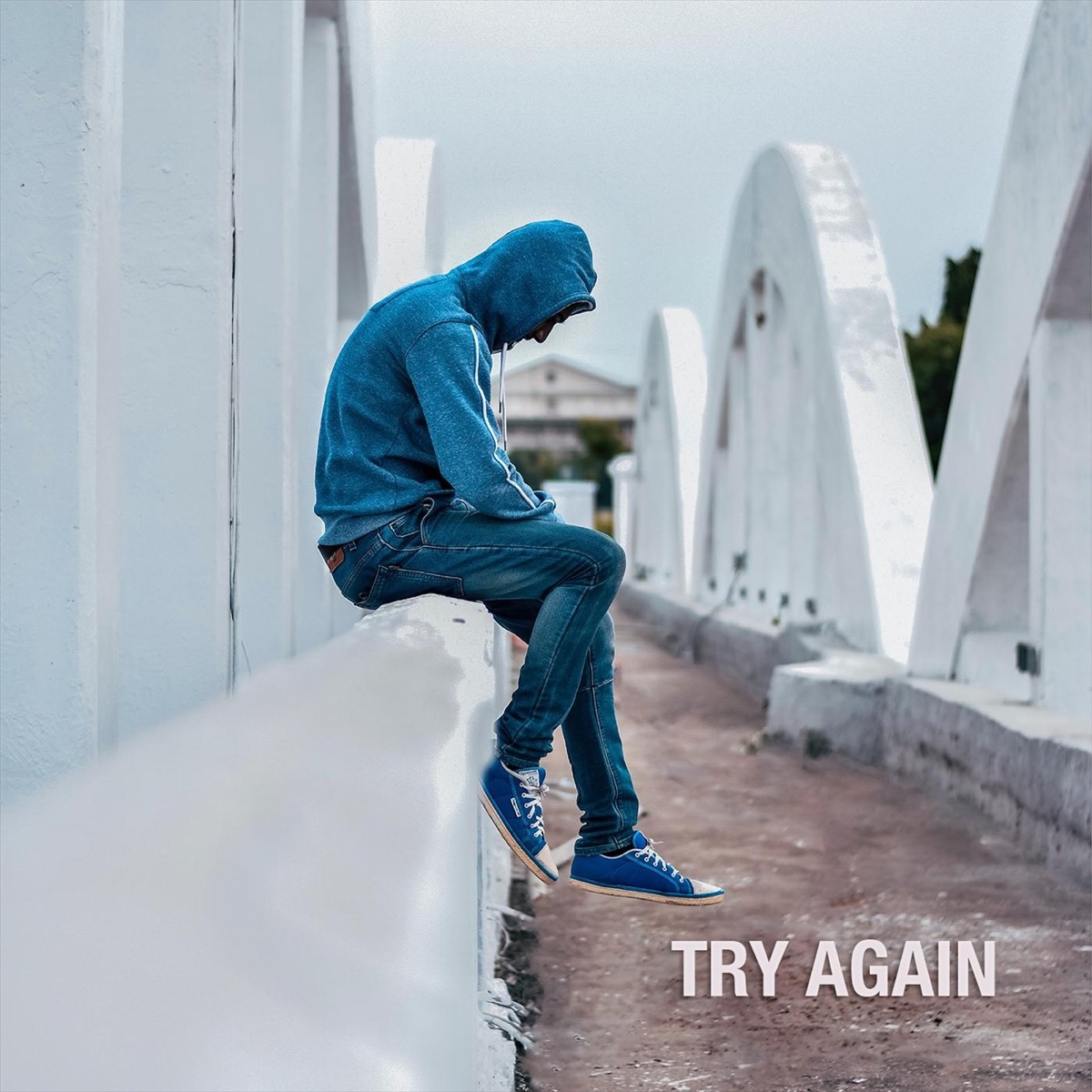 Try Again - Single by Hook Shop album cover