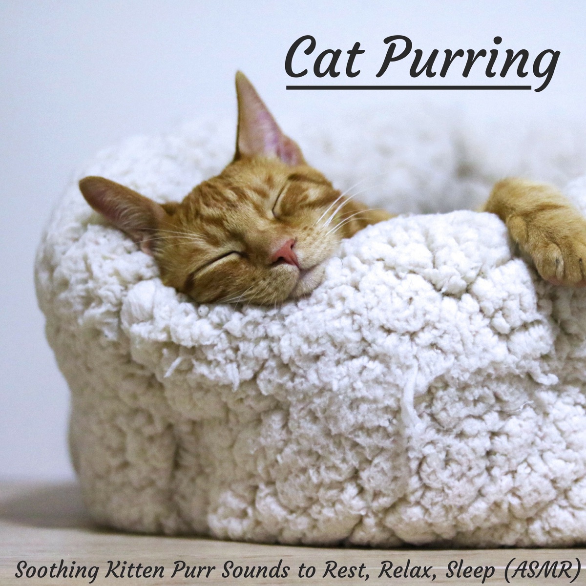 Cat Purring Sounds: Soothing Kitten Purr Sounds to Rest, Relax, Sleep (Asmr) by SleepTherapy album cover artwork