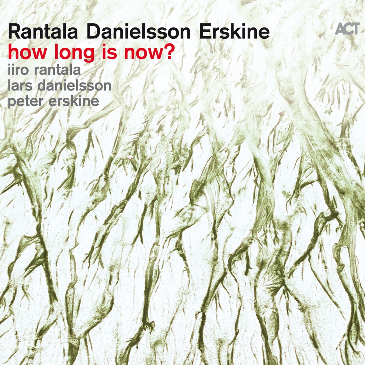 How Long Is Now? (with Lars Danielsson & Peter Erskine) by Iiro Rantala album cover