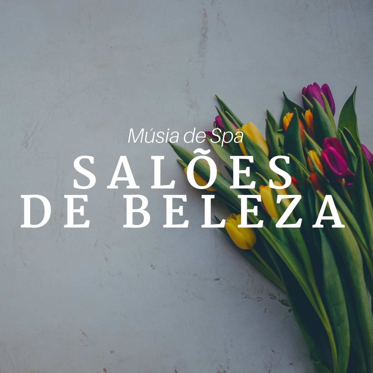 Salões de Beleza - Músia de Spa, Relaxamento para Clientes, Paz Interior e Energia Positiva by Sunset Production album cover