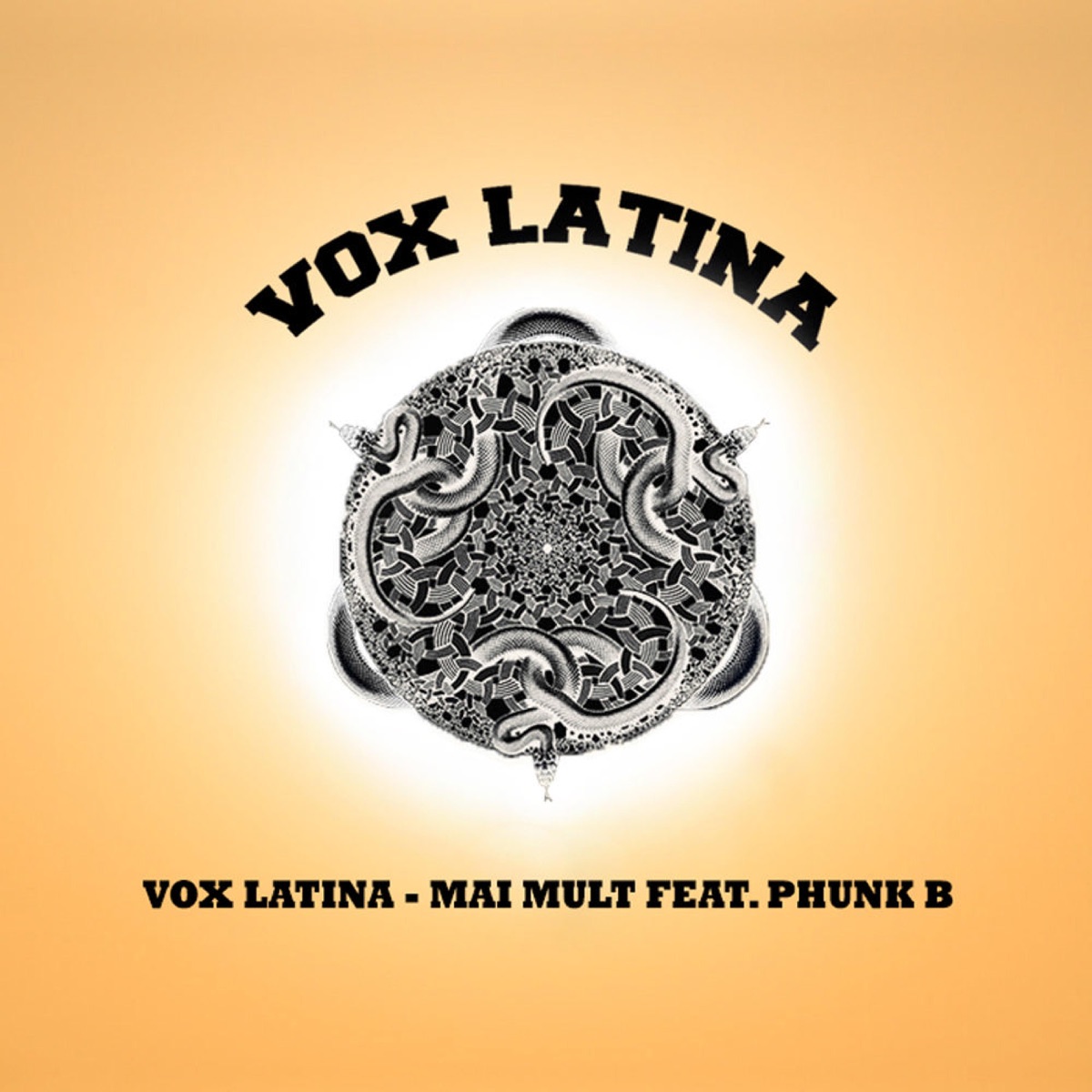 Mai Mult (feat. Phunk B) - Single by Vox Latina album cover
