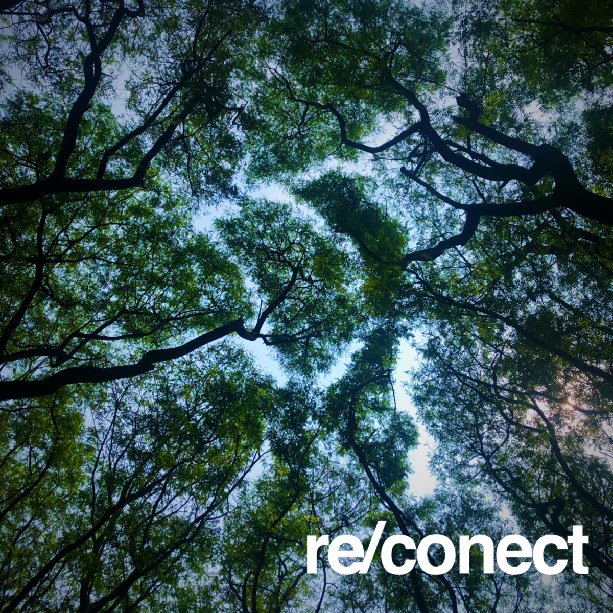 Re/Conect - Single by Dj Serione album cover