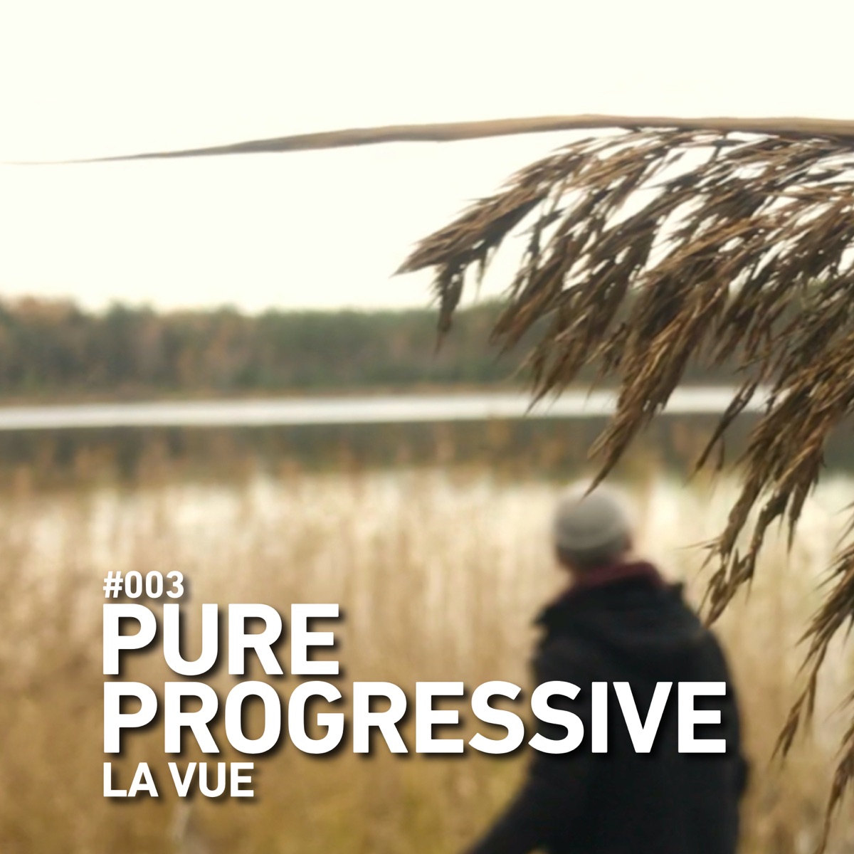 Pure Progressive 003: La Vue (DJ Mix) by La Vue & Sound Avenue Labelgroup album cover