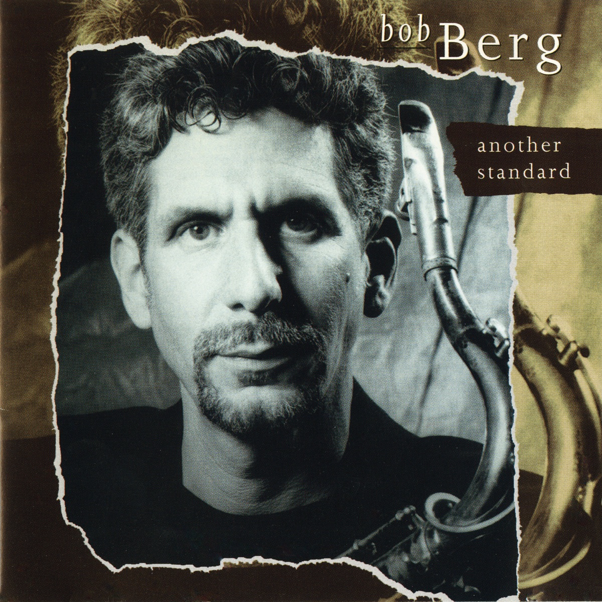 Another Standard by Bob Berg album cover