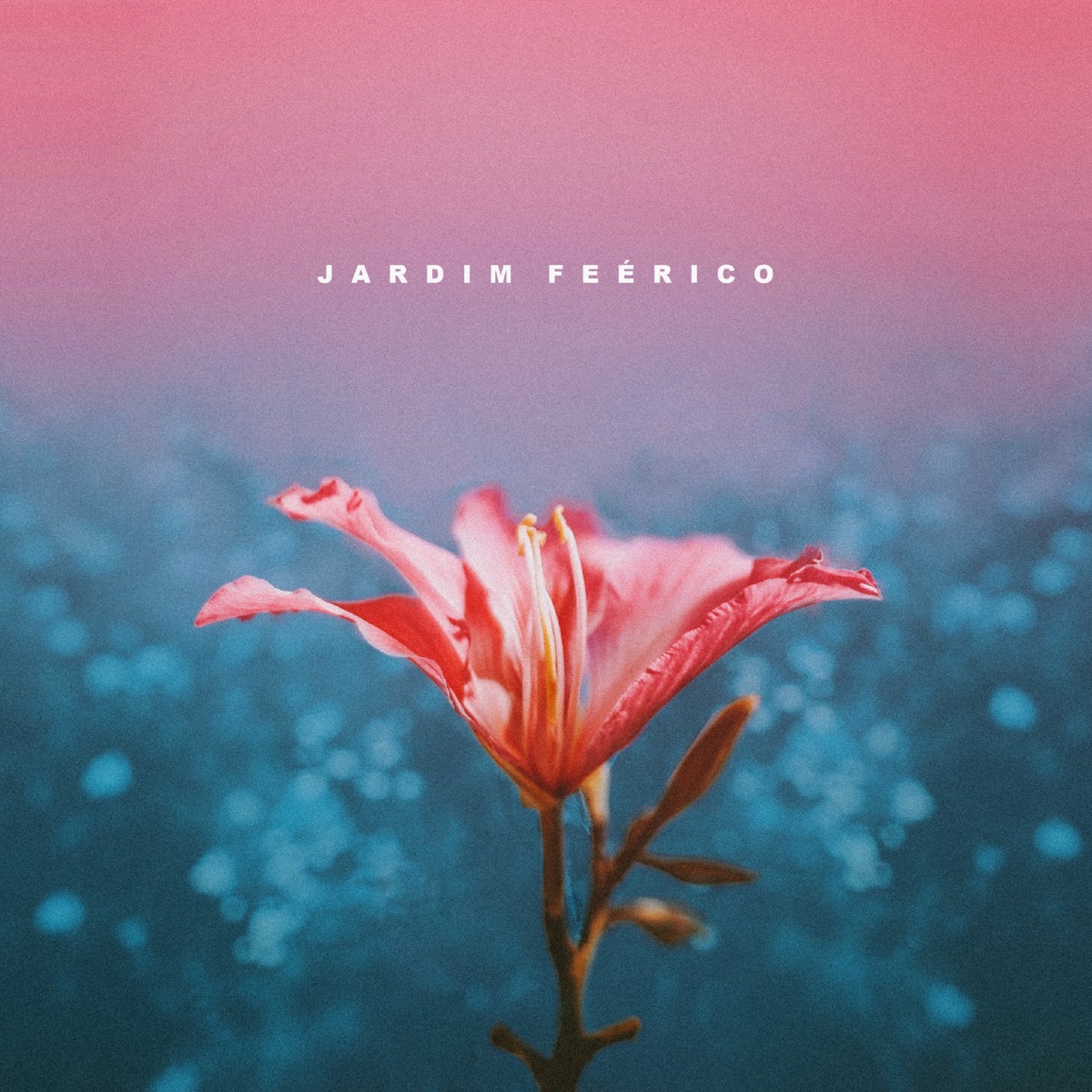 Jardim Feérico - EP by Anezzi album cover