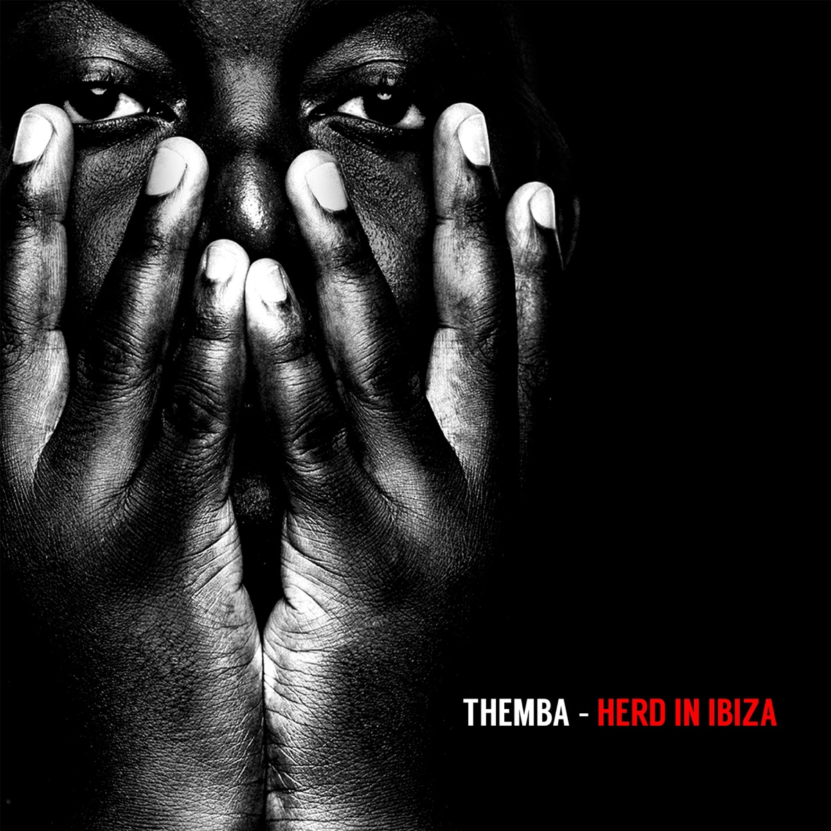 Herd in Ibiza (DJ Mix) by THEMBA album cover