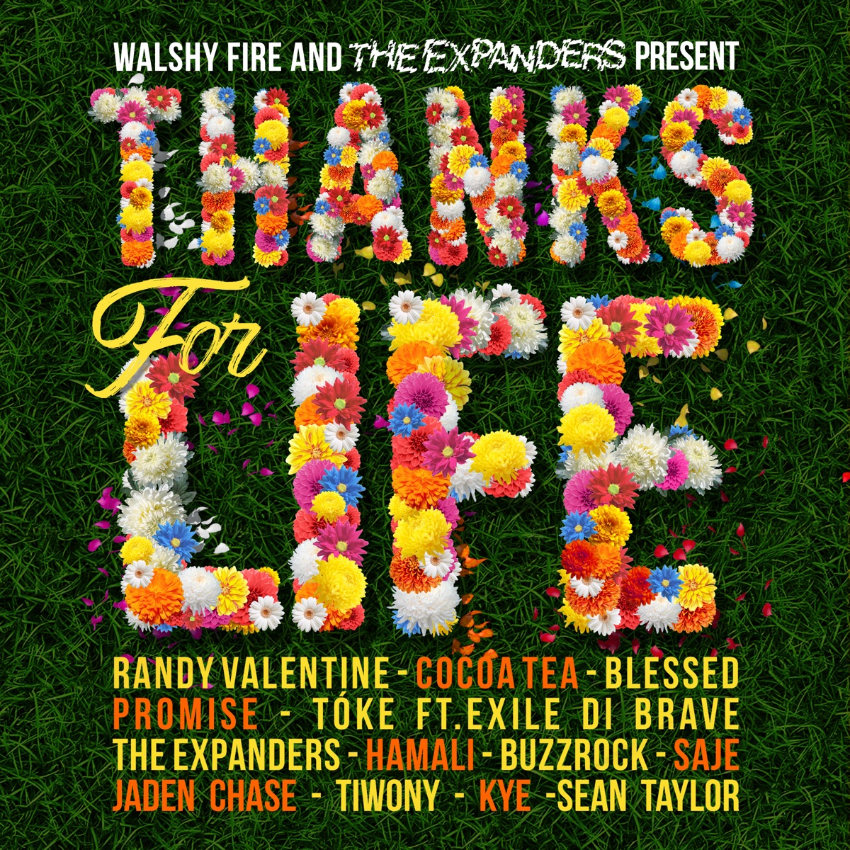 Walshy Fire & the Expanders Present Thanks for Life by Walshy Fire & The Expanders album cover