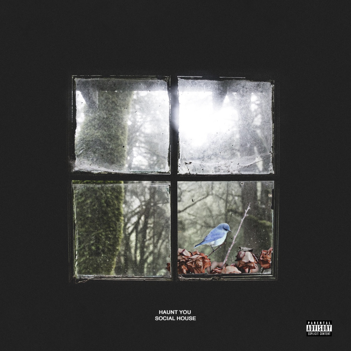 Haunt You - Single by Social House album cover