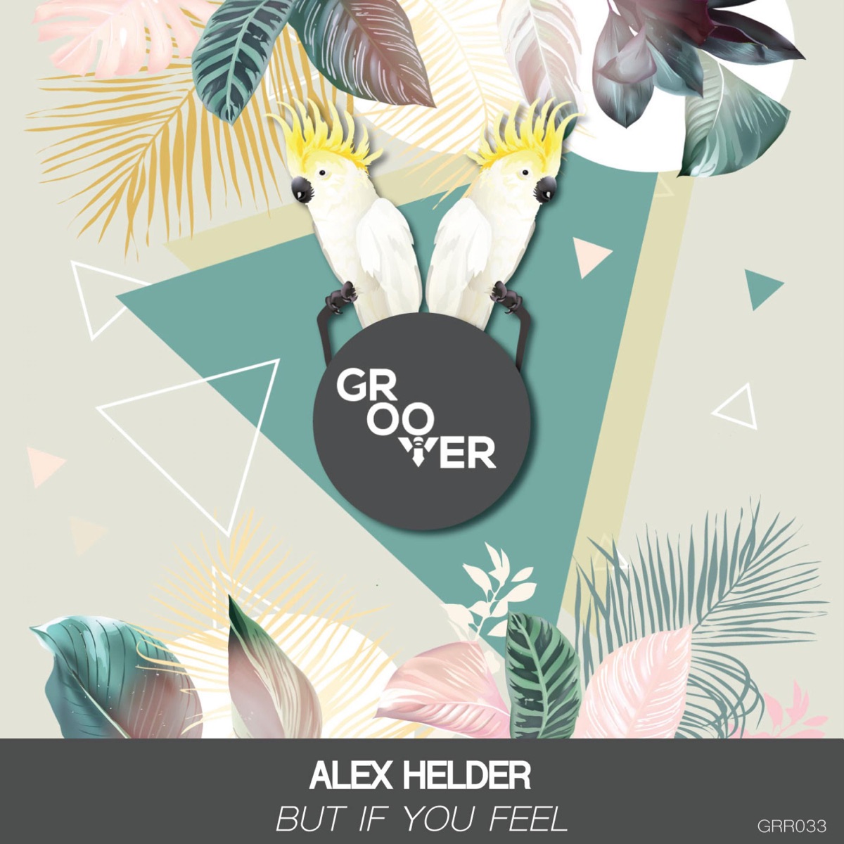 But If You Feel - Single by Alex Helder album cover