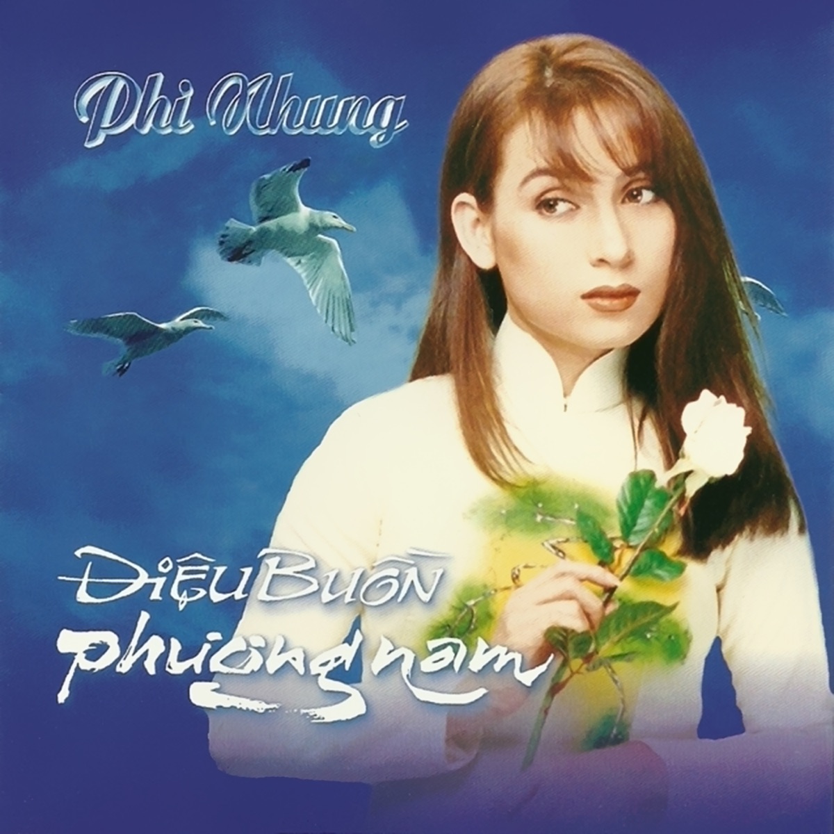 Điệu buồn phương nam by Phi Nhung album cover
